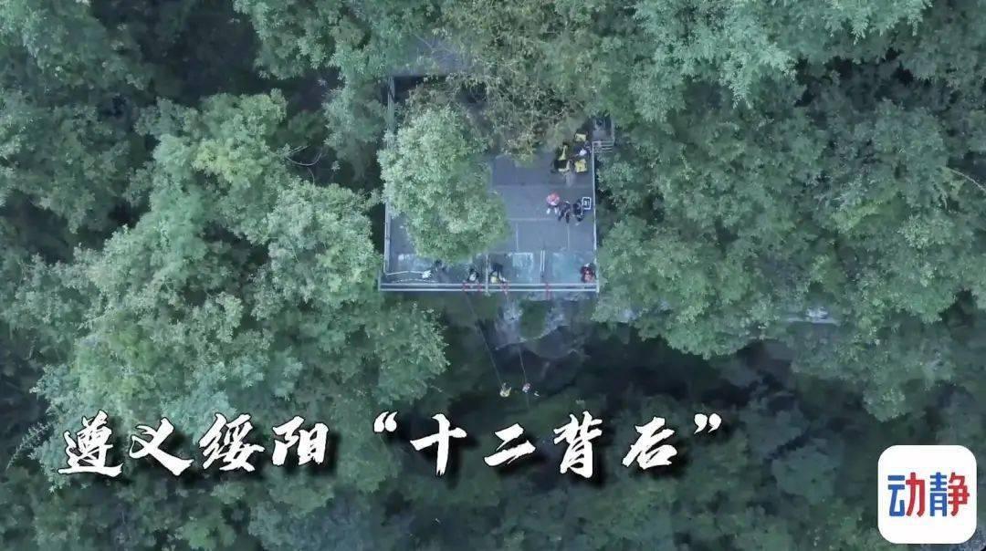 探索知识之旅,尽在“